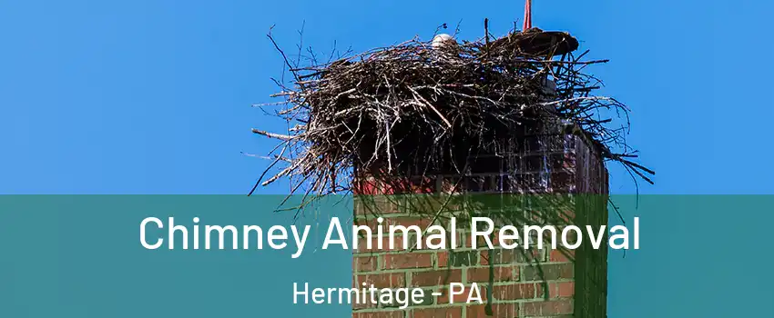  Chimney Animal Removal Hermitage - PA