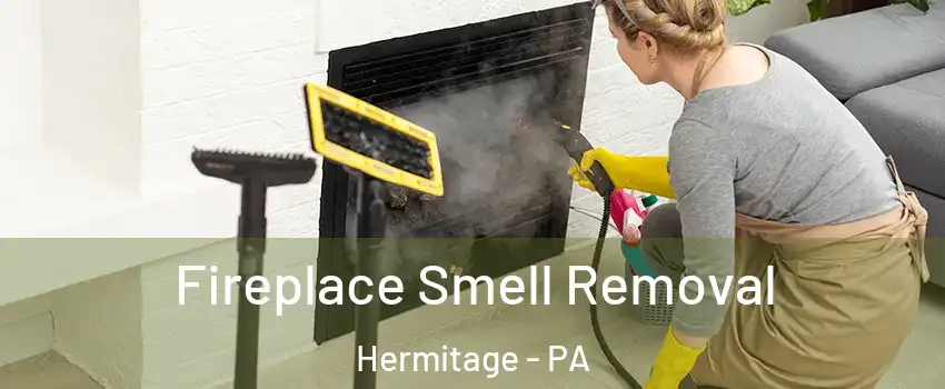  Fireplace Smell Removal Hermitage - PA