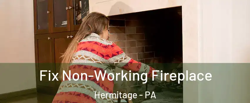  Fix Non-Working Fireplace Hermitage - PA