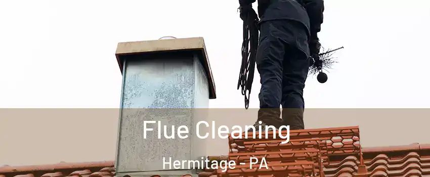  Flue Cleaning Hermitage - PA