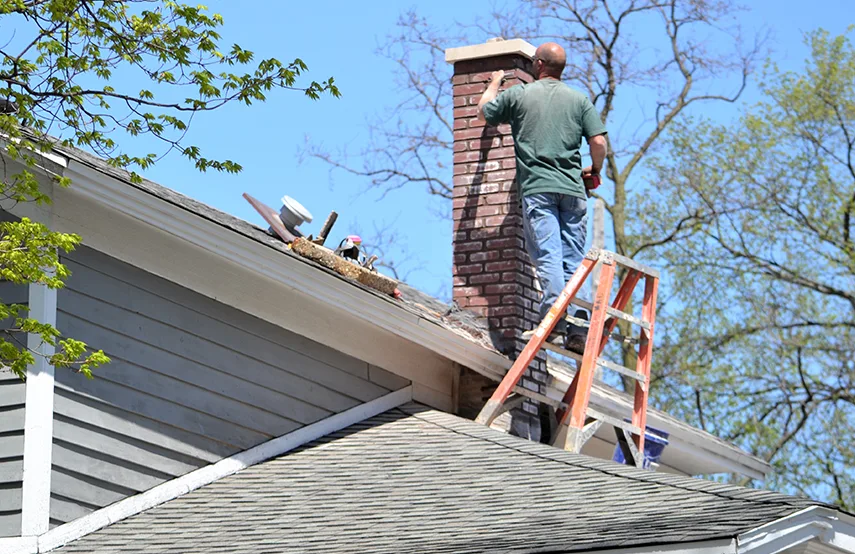 Chimney & Fireplace Inspections Services in Hermitage, PA