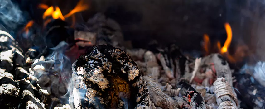 Creosote Removal Experts in Hermitage, PA