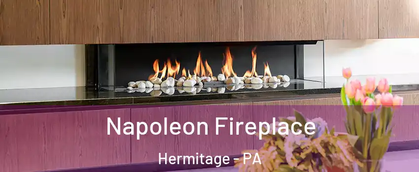  Napoleon Fireplace Hermitage - PA